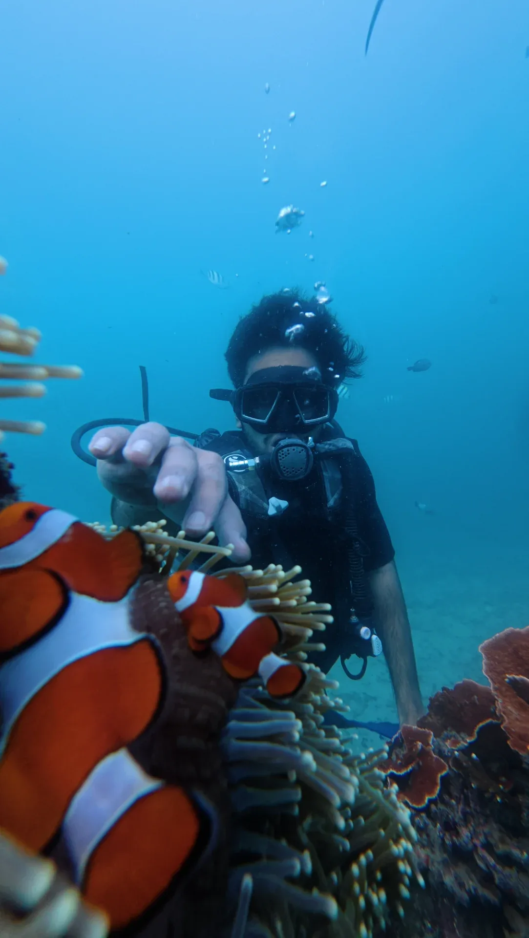 Scuba Diving Experience at Tanjung Benoa Watersports Bali