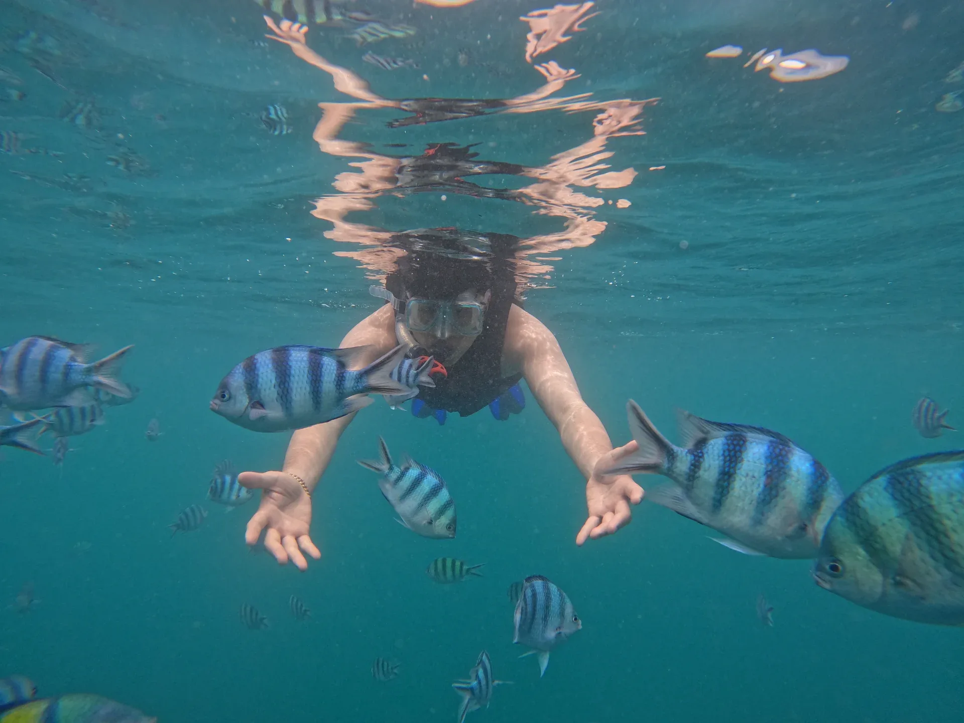 Snorkeling Nusa Dua Experience at Tanjung Benoa Watersports Bali