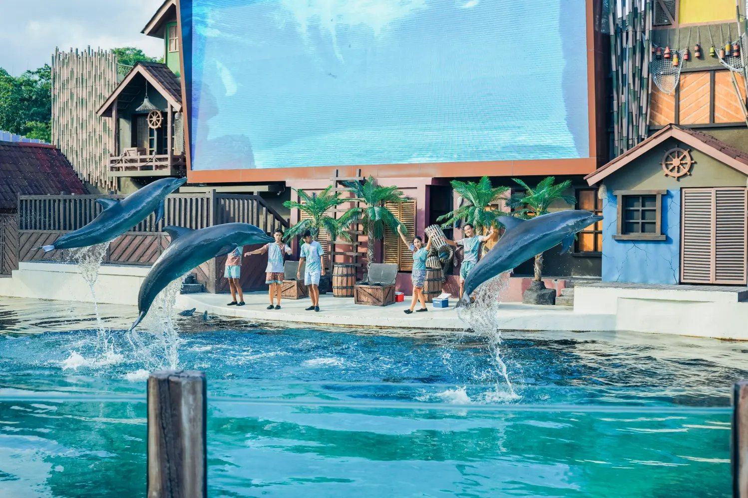 Bali Safari Park Clownfish Package — Admission & Activity