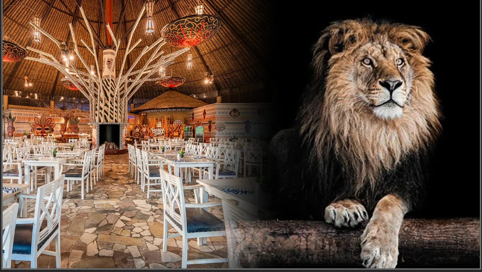 Safari Lion Bali Safari
