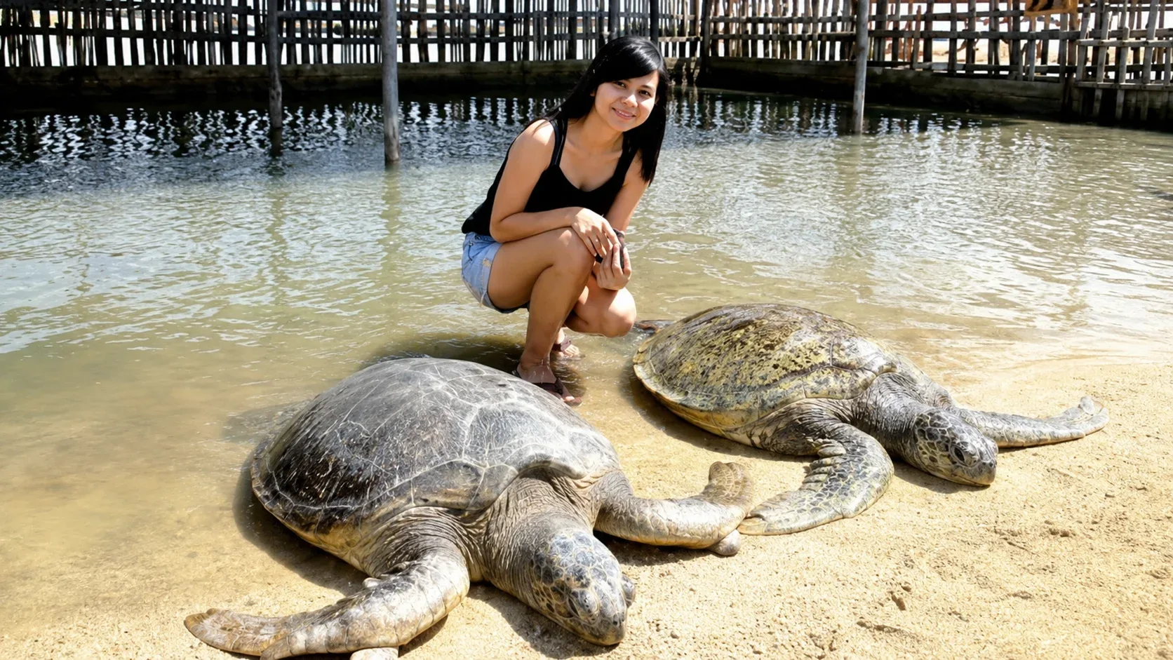 Glass Bottom Boat & Turtle Island Tour Experience at Tanjung Benoa Watersports Bali