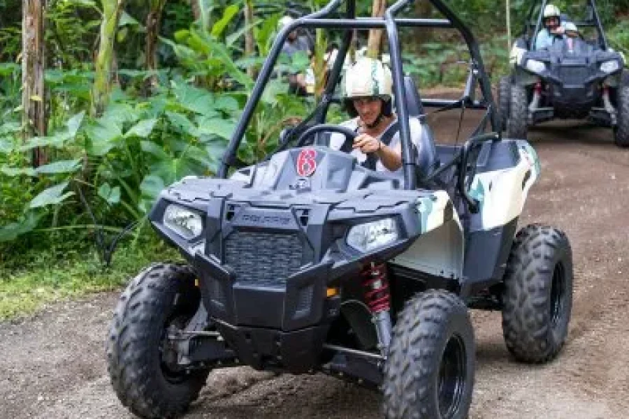 Buggy Adventure: Unleash Your Inner Explorer on a Wild Ride!