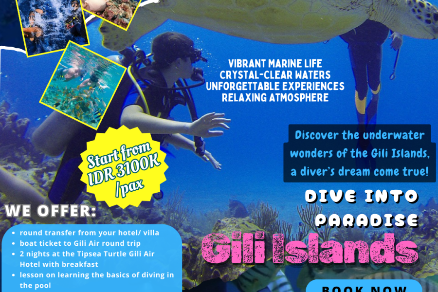 Dive into Paradise: Gili Islands Tour
