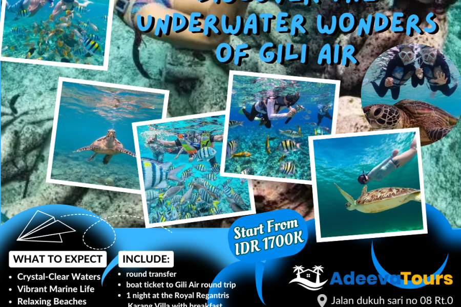 Discover the Underwater Wonders of Gili Air