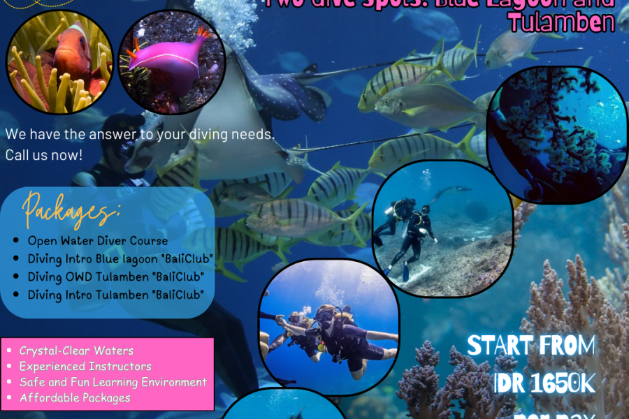 Book Your Beginner Diving Course in Bali – 4 Ocean Dives in One Day (Open Water Diver Course)