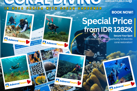 Diving with The Largest Coral Colony in Nusa Penida “Ocean Gardener”