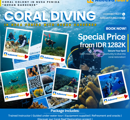 Diving with The Largest Coral Colony in Nusa Penida “Ocean Gardener”
