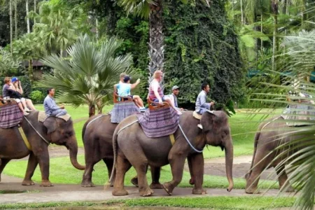 Mason Adventures: Your Ultimate Bali Adventure