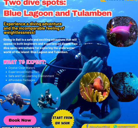 Book Your Bali Dive Adventure: Blue Lagoon and Tulamben Combo