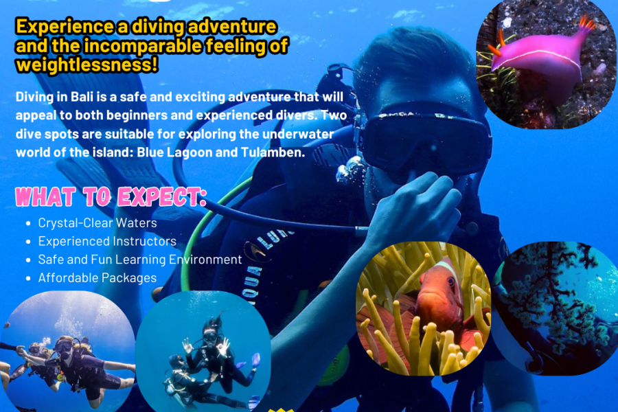 Book Your Bali Dive Adventure: Blue Lagoon and Tulamben Combo