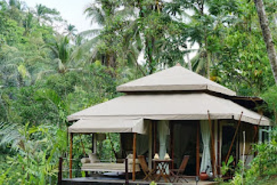 Galalima Glamping – Luxury in the Wild, Elevated in Style