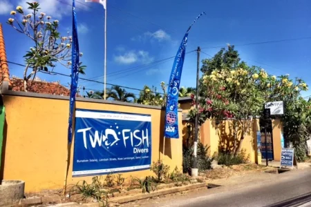 Two Fish Divers – Bali’s Best Scuba Diving Adventures Across Sanur, Amed & Penida