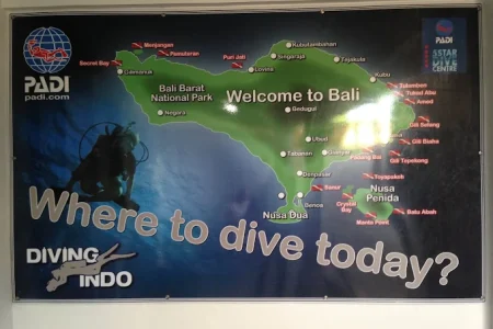 Diving Indo – Best Bali Dive Trips for All Experience Levels