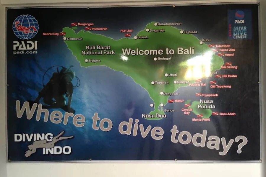 Diving Indo – Best Bali Dive Trips for All Experience Levels