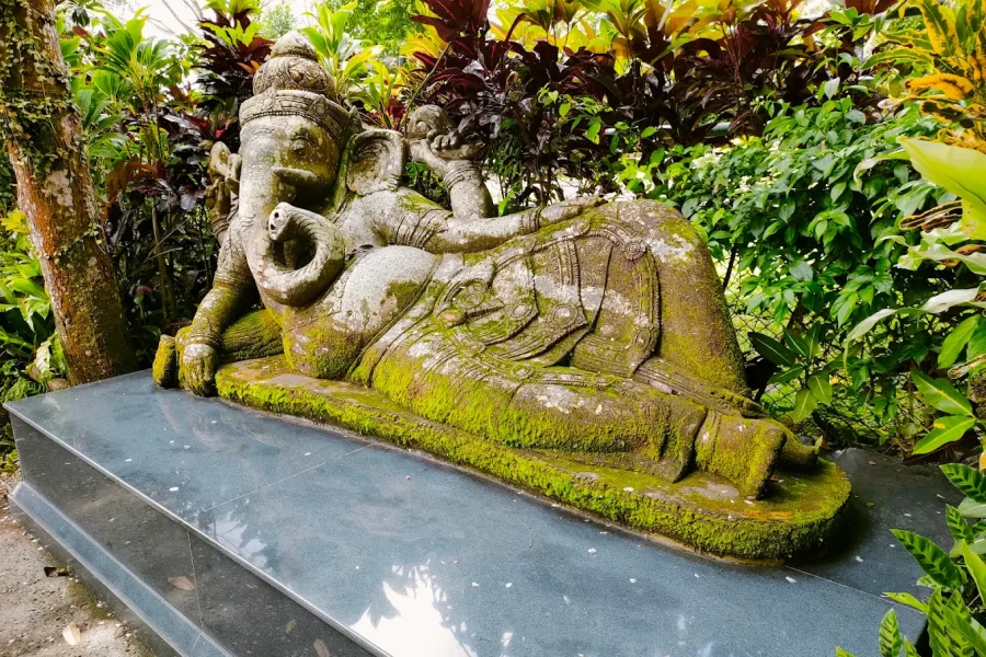 Live the Elephant Experience at Mason Elephant Lodge, Taro – Ubud